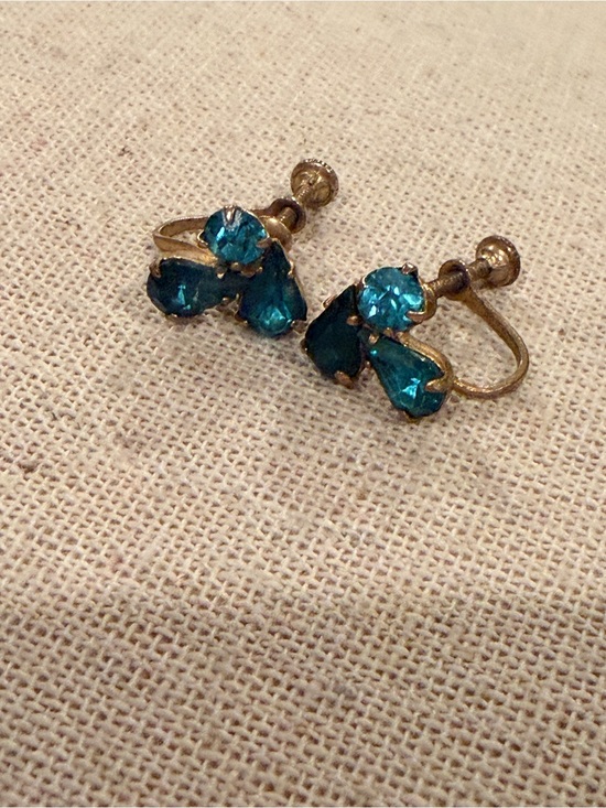 Jewelry - Blue Crystal Vintage Screw back Earrings